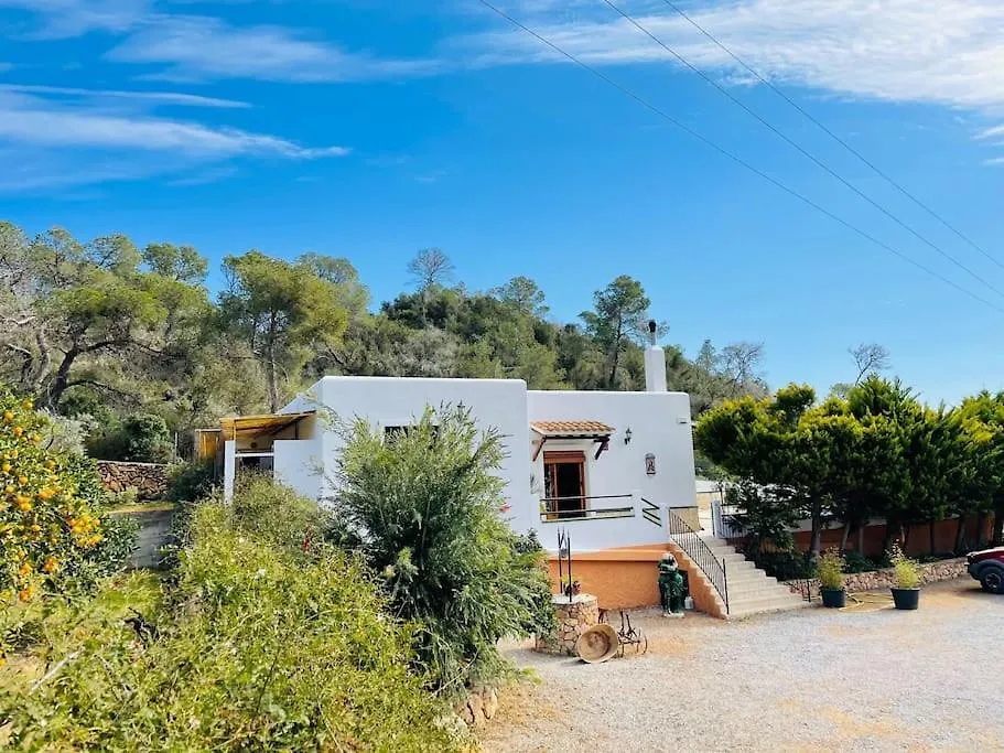 Villa Rocio San Antonio Spanyolország